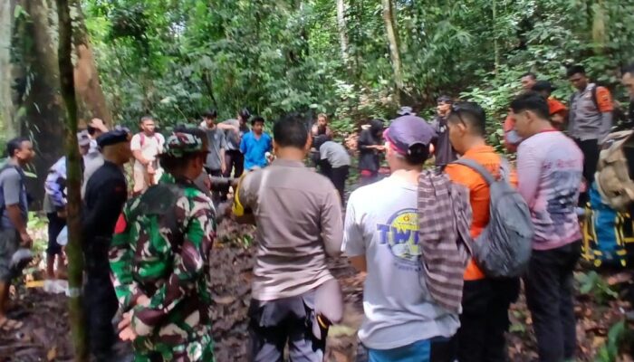 Enam Orang Pendaki Tersesat di Gunung Ponteoa Morowali Utara Ditemukan Oleh Tim SAR