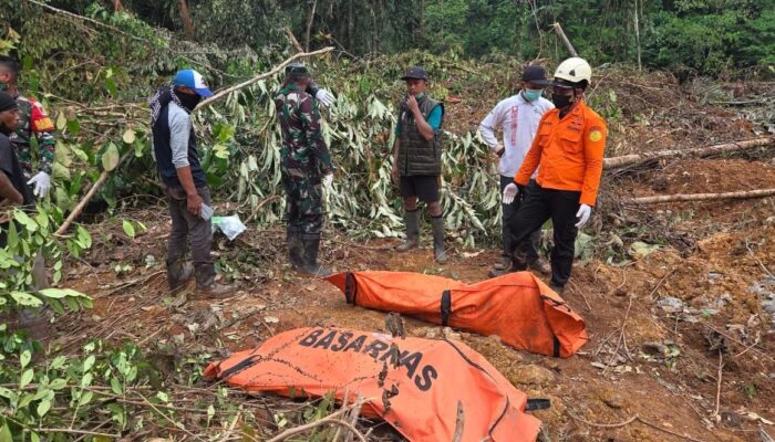Tujuh Warga Tertimbun Longsor di Tirtanagaya, Dua Ditemukan Meninggal