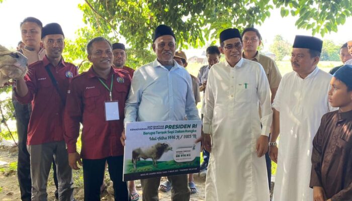 Bupati Parigi Moutong Serahkan Hewan Qurban Bantuan Presiden di Desa Tada Timur
