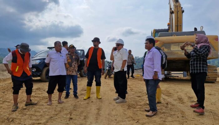 Wabup Parigi Moutong Hentikan Sementara Aktivitas Pertambangan di Kayuboko