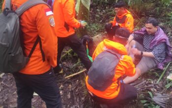 whatsapp image 2025 08 04 at 19.42.14