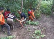 Operasi SAR Seorang Pendaki Alami Hipotermia di Gunung Gawalise