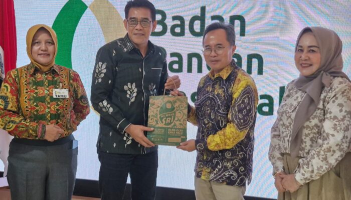 Bertemu Badan Pangan Nasional, Erwin Burase Sampaikan Masalah di Parimo