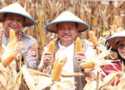Pemda Parigi Moutong Dukung Program Ketahanan Pangan
