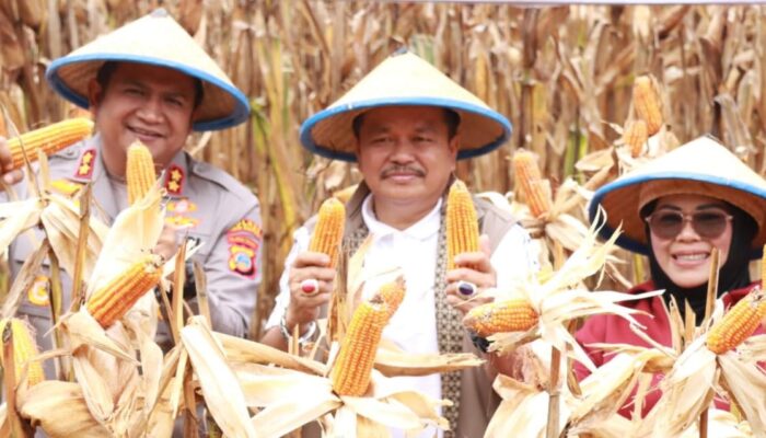 Pemda Parigi Moutong Dukung Program Ketahanan Pangan
