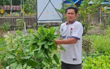 whatsapp image 2025 10 24 at 14.10.47