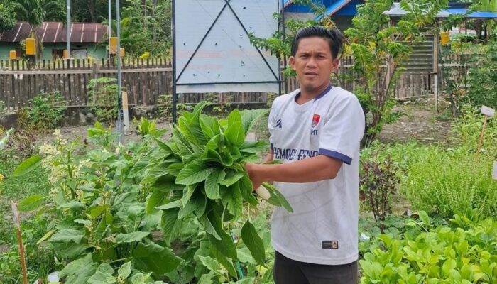 Pekarangan Kantor Desa Eeya Dimanfaatkan untuk Penanaman Sayuran