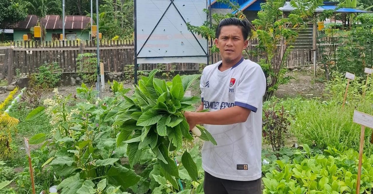 whatsapp image 2025 10 24 at 14.10.47