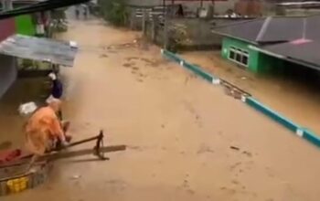 whatsapp image 2025 10 26 at 18.02.41