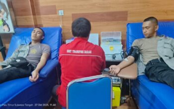 whatsapp image 2025 10 29 at 16.49.07