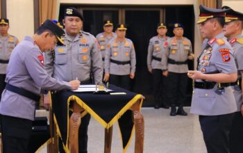 whatsapp image 2025 10 29 at 19.47.15