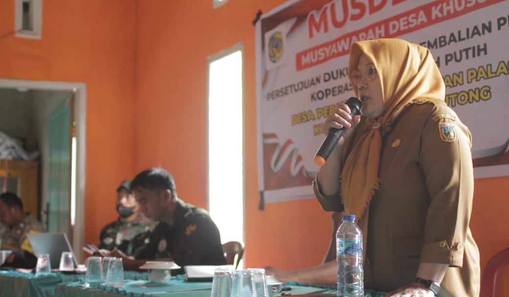 whatsapp image 2025 11 11 at 10.30.25