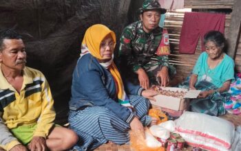 whatsapp image 2025 11 17 at 11.36.18