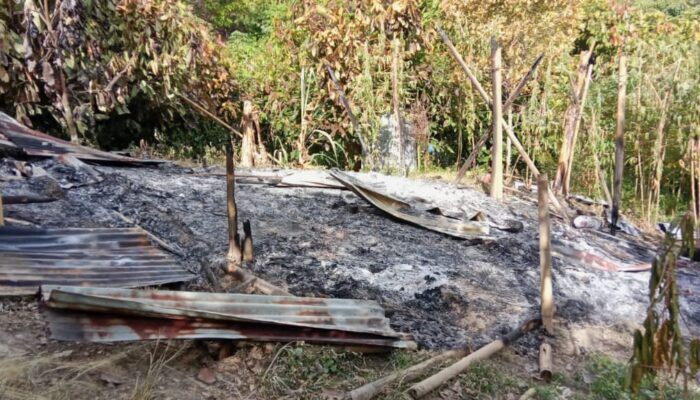 whatsapp image 2025 11 17 at 11.36.20