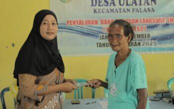 whatsapp image 2025 11 20 at 11.04.24