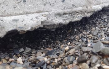 whatsapp image 2025 11 30 at 14.38.19