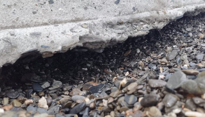 Warga Soroti Pekerjaan Tanggul Pantai Ulatan yang Dikerjakan CV Trini Karya Perdana