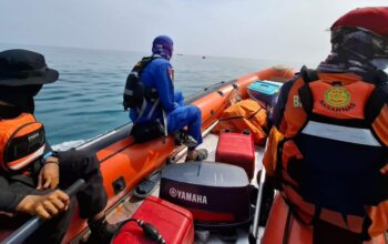 whatsapp image 2025 12 07 at 19.12.50