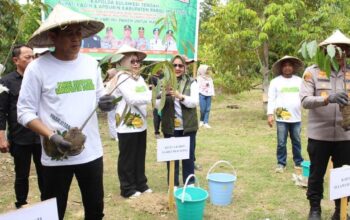 whatsapp image 2025 12 09 at 03.47.54