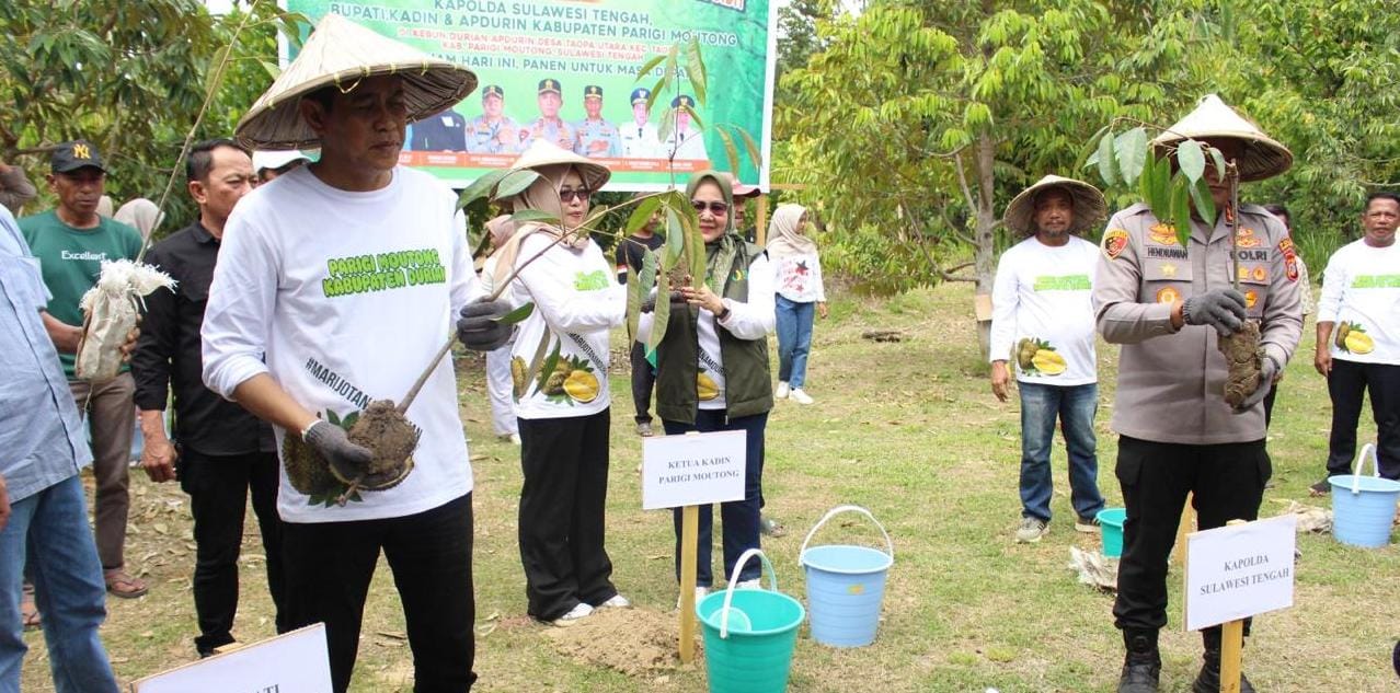 whatsapp image 2025 12 09 at 03.47.54