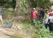 Remaja Asal Avolua Ditemukan Meninggal, Polisi Olah TKP