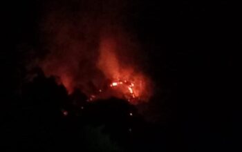 whatsapp image 2026 03 07 at 01.42.31