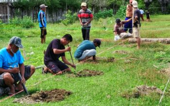 Pemdes Eeya dan Panitia Mulai Kerjakan Arena MTQ Kecamatan Palasa Ke 15