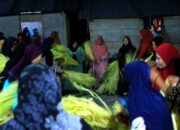 Tantalo’an: Warisan Budaya dari Tanah Lauje