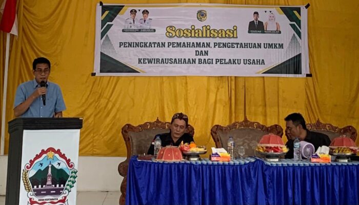 Pemkab Parigi Moutong Perkuat Kapasitas UMKM Lewat Program Gerbang Desa