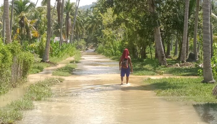 Sungai Meluap, Empat KK Terdampak Banjir di Desa Salepae Parigi Moutong