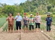 Kecamatan Palasa Dapat Kuota 50 Hektare Program Swasembada Bawang Putih dari Kementerian Pertanian RI