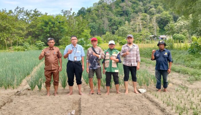 Kecamatan Palasa Dapat Kuota 50 Hektare Program Swasembada Bawang Putih dari Kementerian Pertanian RI
