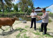 Kapolres Parigi Moutong Berbagi Hewan Kurban ke Ponpes dan Lapas
