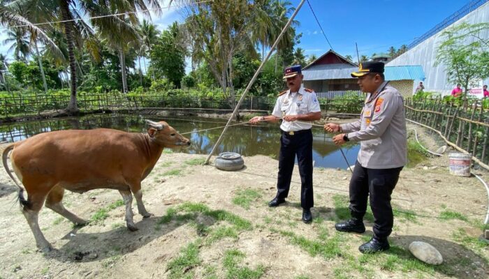 Kapolres Parigi Moutong Berbagi Hewan Kurban ke Ponpes dan Lapas