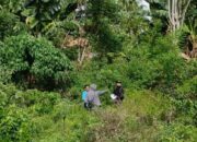 Program PTSL di Palasa Tengah Berjalan, 325 Sertifikat Tanah Terbit