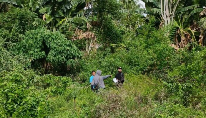 Program PTSL di Palasa Tengah Berjalan, 325 Sertifikat Tanah Terbit
