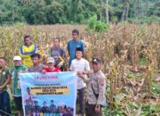 Kades Eeya Sumanto Sebut Panen Jagung Tingkatkan Ekonomi Warga