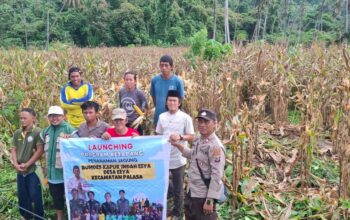 Kades Eeya Sumanto Sebut Panen Jagung Tingkatkan Ekonomi Warga