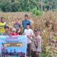 Kades Eeya Sumanto Sebut Panen Jagung Tingkatkan Ekonomi Warga