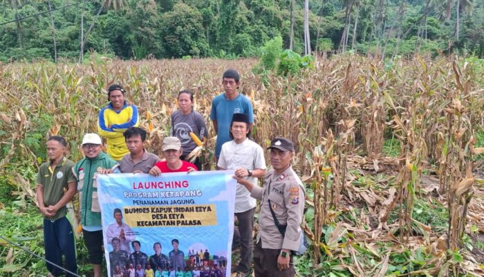 Kades Eeya Sumanto Sebut Panen Jagung Tingkatkan Ekonomi Warga