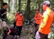 Tujuh Pendaki Gunung Nokilalaki Berhasil Dievakuasi Selamat