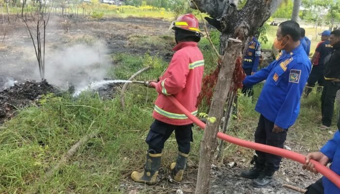 Lahan Kosong di Desa Lebo Terbakar, Api Berhasil Dipadamkan